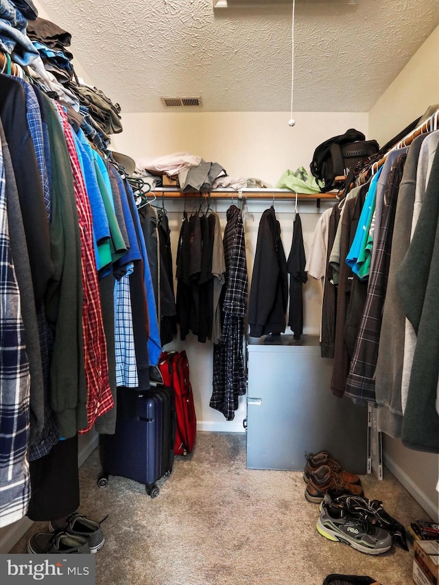 walk in closet featuring carpet floors and visible vents