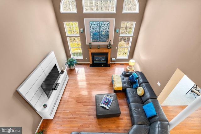 living room featuring a high ceiling and wood-type flooring