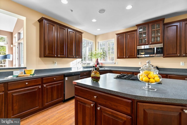 kitchen with stainless steel appliances, dark brown cabinetry, and light hardwood / wood-style flooring