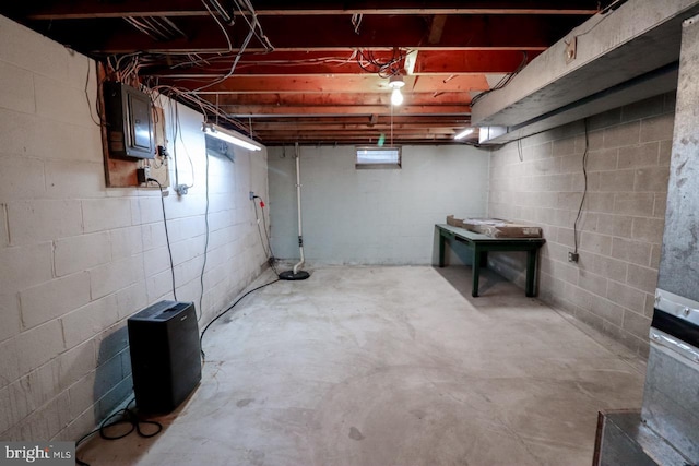 basement with electric panel