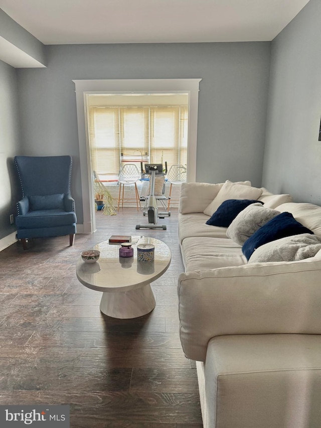 living room featuring hardwood / wood-style floors