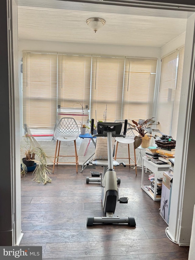 workout room with plenty of natural light and dark hardwood / wood-style floors