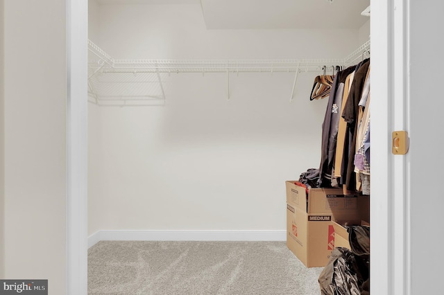 spacious closet featuring light colored carpet