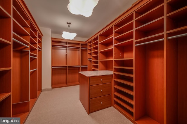 spacious closet featuring light colored carpet