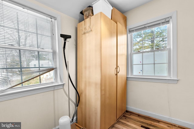 interior space featuring multiple windows and light wood-type flooring