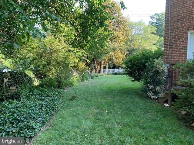 view of yard