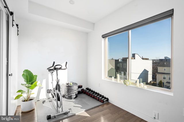 exercise room featuring hardwood / wood-style floors and a barn door