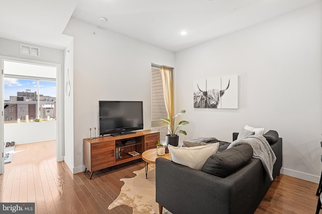 living room featuring hardwood / wood-style floors