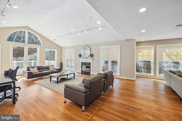 living room with lofted ceiling, wood-type flooring, and a textured ceiling