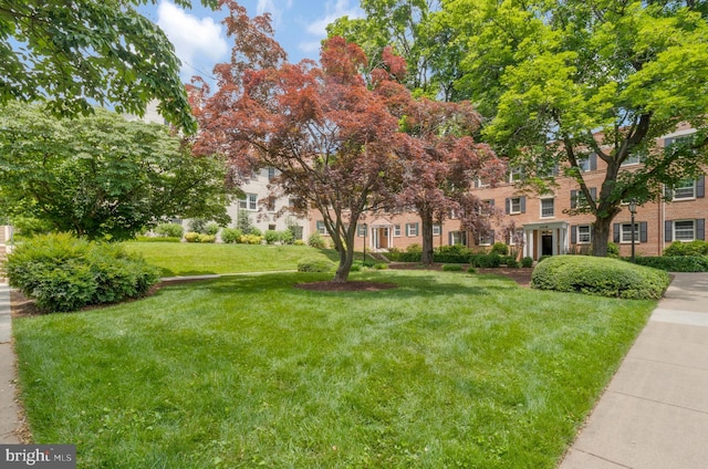 view of community featuring a lawn