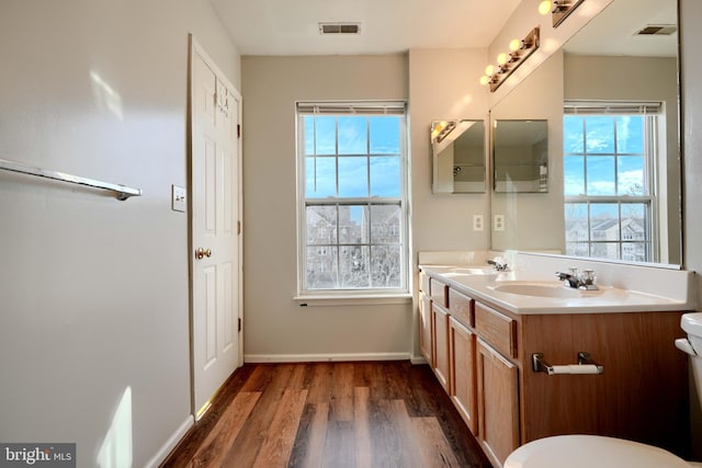 bathroom featuring hardwood / wood-style flooring, plenty of natural light, and vanity