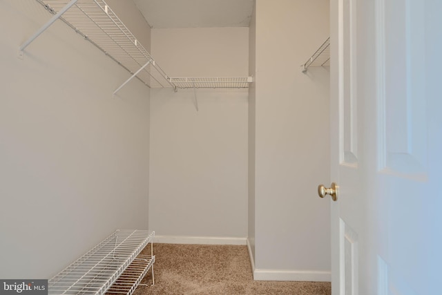 walk in closet with light colored carpet