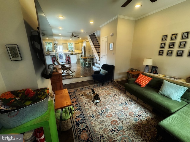 living room featuring dark wood-type flooring, ceiling fan, and ornamental molding