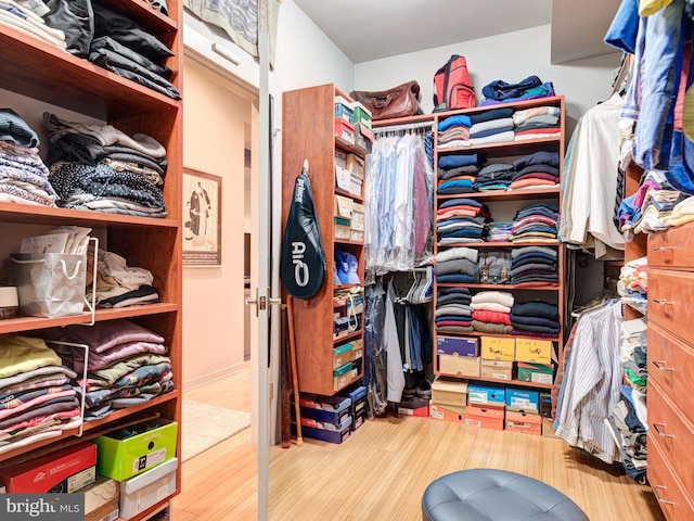 walk in closet featuring wood-type flooring