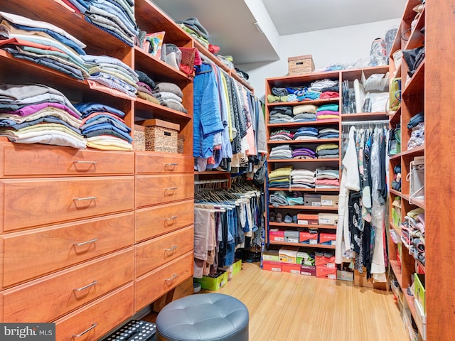 walk in closet with hardwood / wood-style flooring