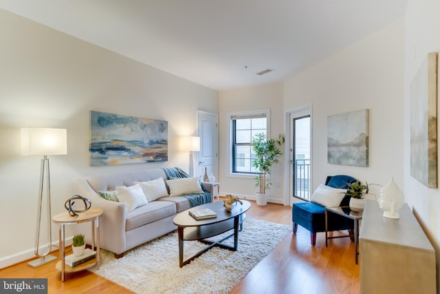 living room featuring hardwood / wood-style flooring