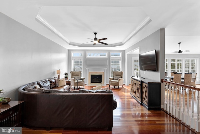 living room with crown molding, dark hardwood / wood-style floors, a raised ceiling, and ceiling fan