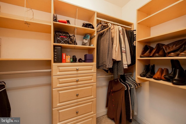 view of spacious closet