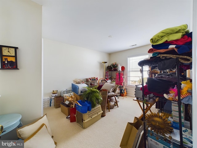 storage room with visible vents