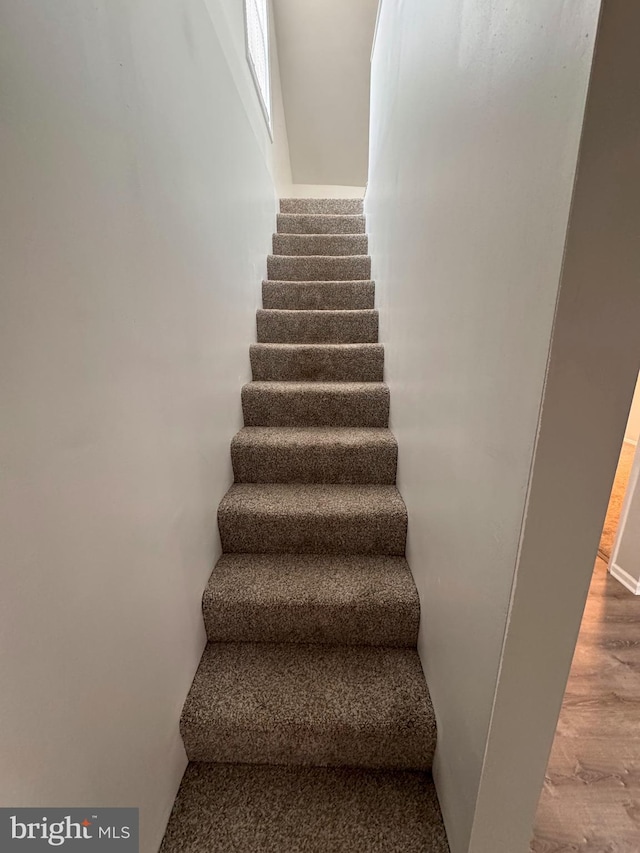 stairway featuring wood-type flooring