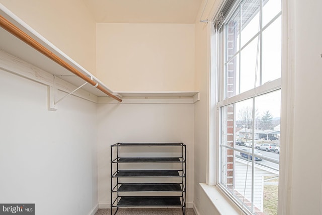 walk in closet with carpet