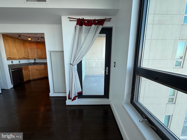 interior space with track lighting, plenty of natural light, dark hardwood / wood-style flooring, and sink