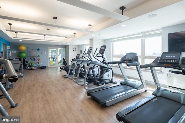 exercise room with light hardwood / wood-style flooring and a tray ceiling