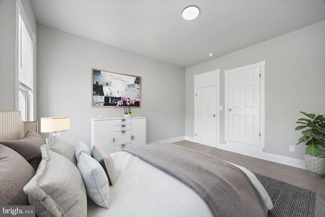 bedroom with carpet flooring