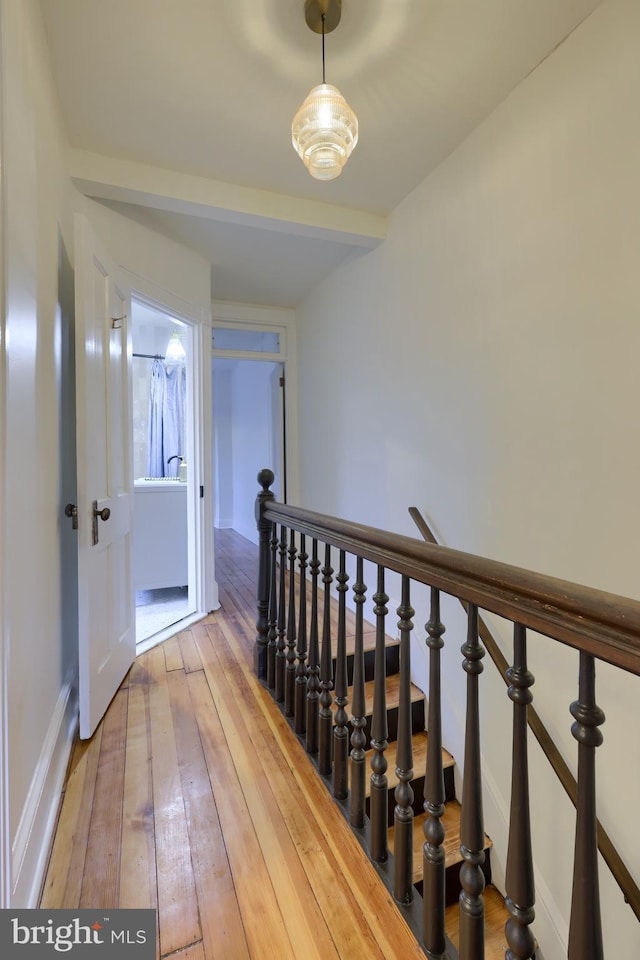 corridor with wood-type flooring