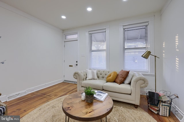 living room featuring hardwood / wood-style flooring