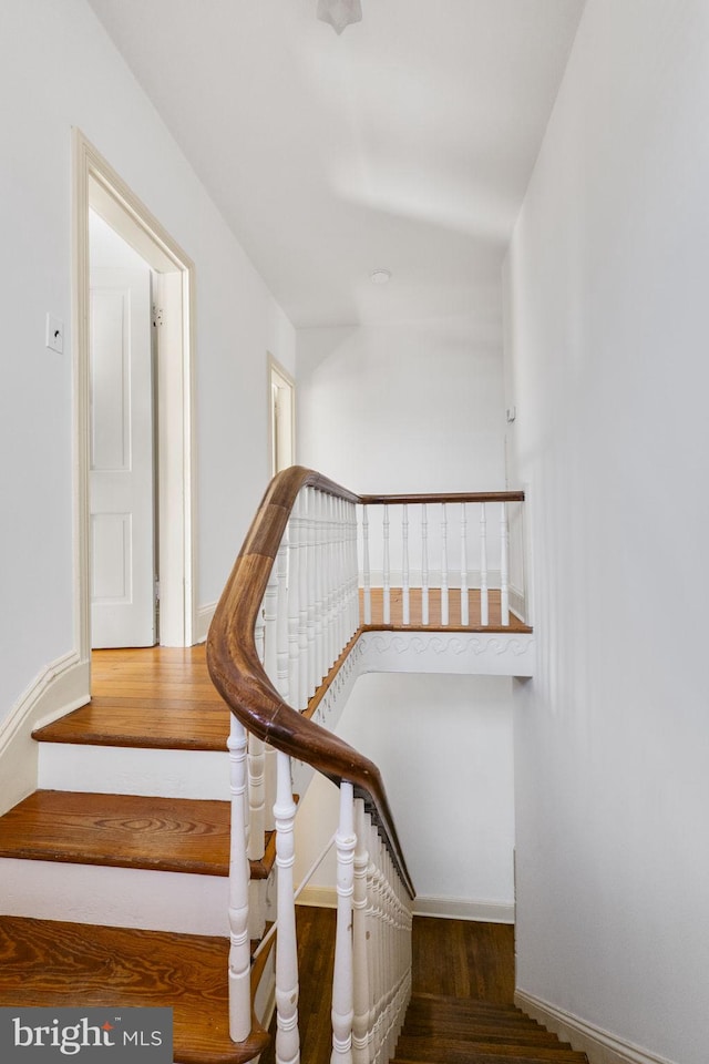 stairway with hardwood / wood-style floors