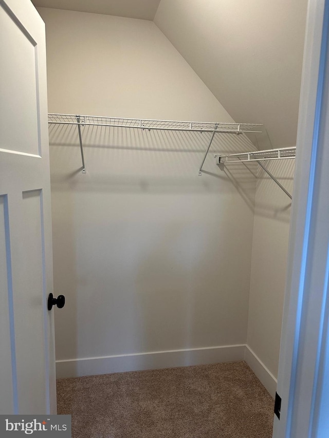 walk in closet featuring lofted ceiling and carpet flooring