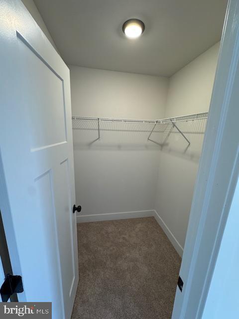 walk in closet featuring dark colored carpet