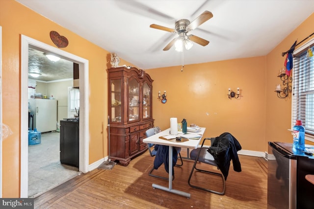 dining room featuring ceiling fan and light hardwood / wood-style flooring