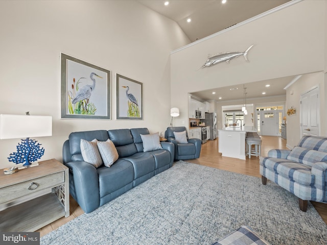living room with sink, a towering ceiling, and light hardwood / wood-style floors