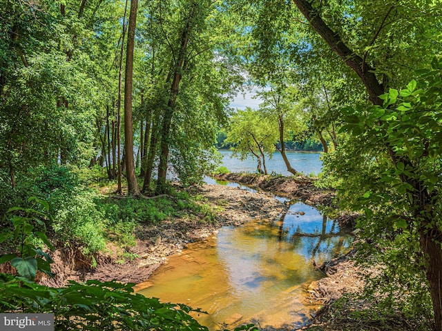 property view of water with a forest view