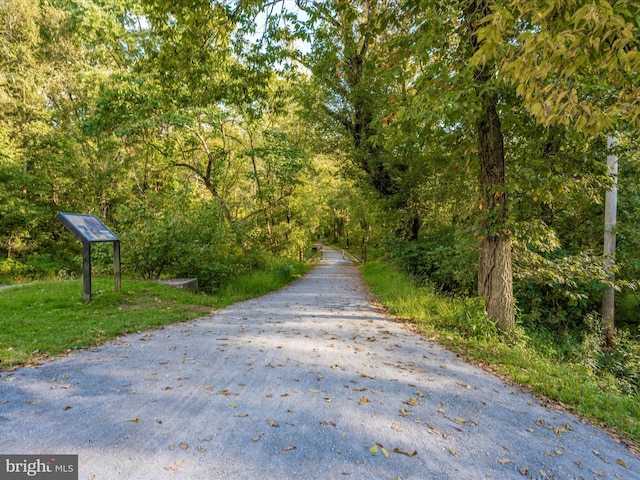 view of street with a wooded view