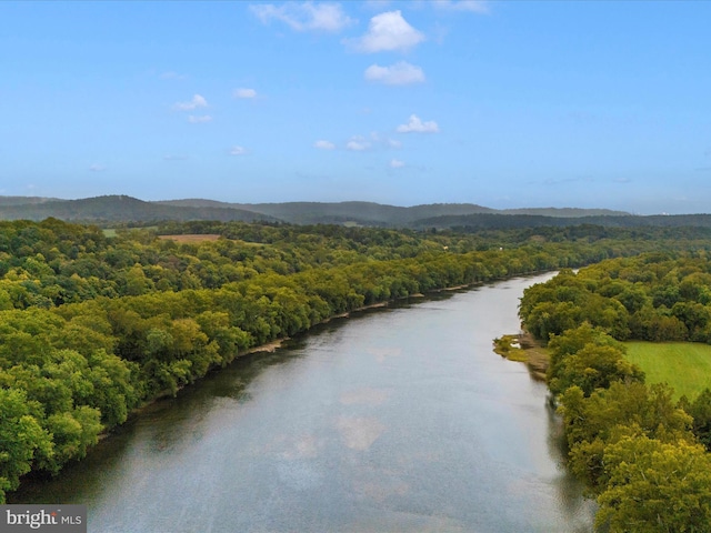 water view featuring a wooded view