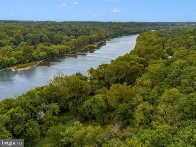 bird's eye view with a water view and a view of trees