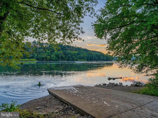 property view of water featuring a view of trees