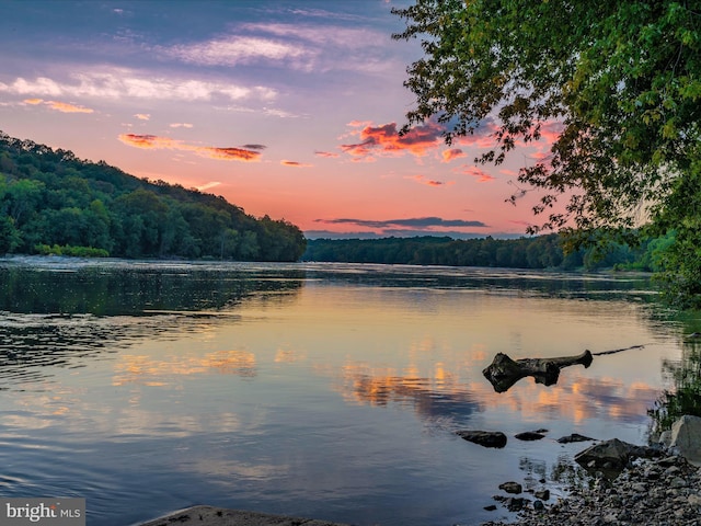 property view of water with a wooded view