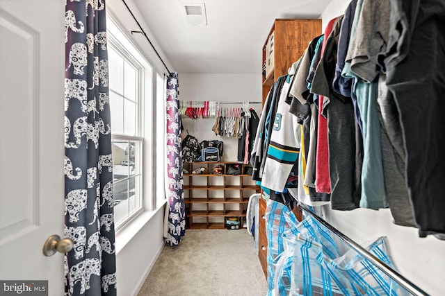 spacious closet with visible vents and carpet flooring