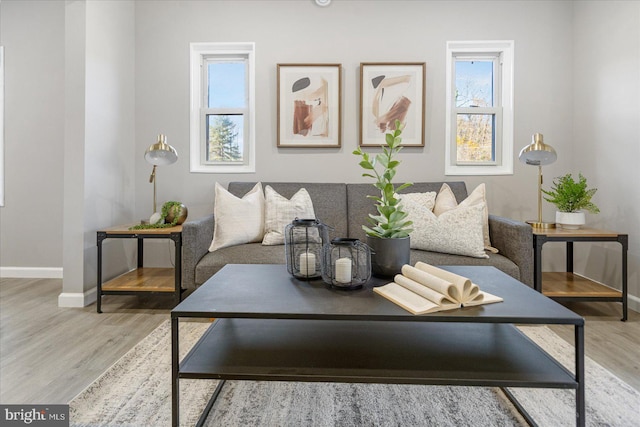 living room with hardwood / wood-style flooring