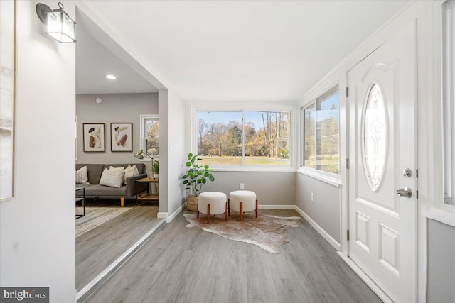 entryway featuring hardwood / wood-style floors