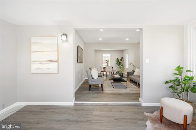 living area featuring hardwood / wood-style flooring