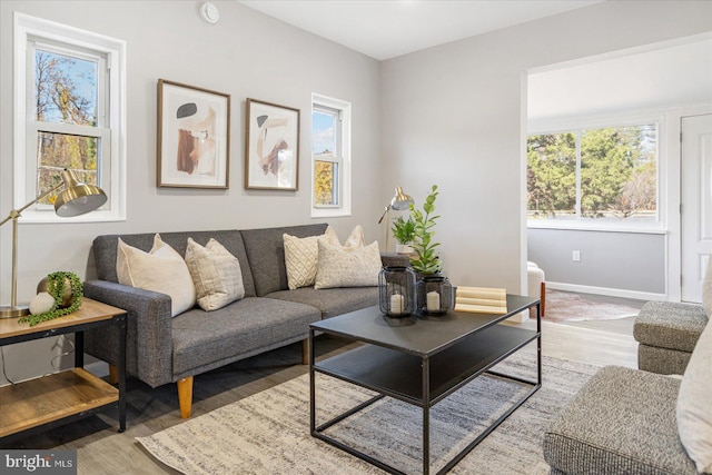 living room with light hardwood / wood-style flooring