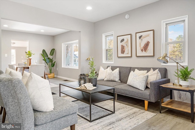 living room featuring light hardwood / wood-style flooring