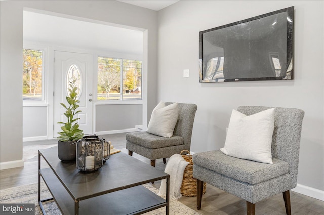 living area featuring hardwood / wood-style floors and a wealth of natural light