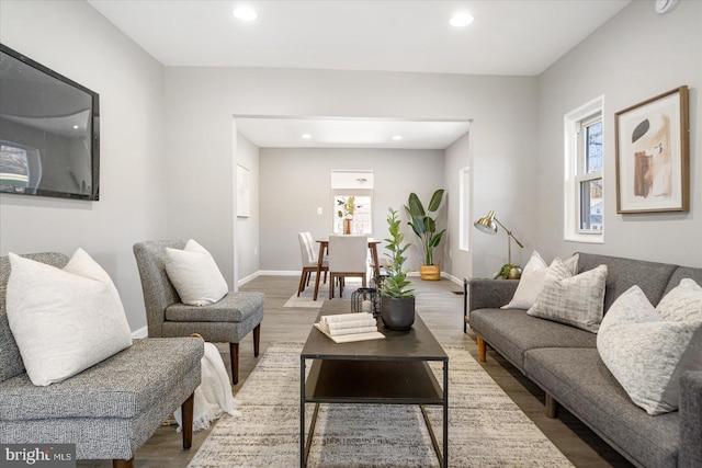 living room featuring hardwood / wood-style flooring