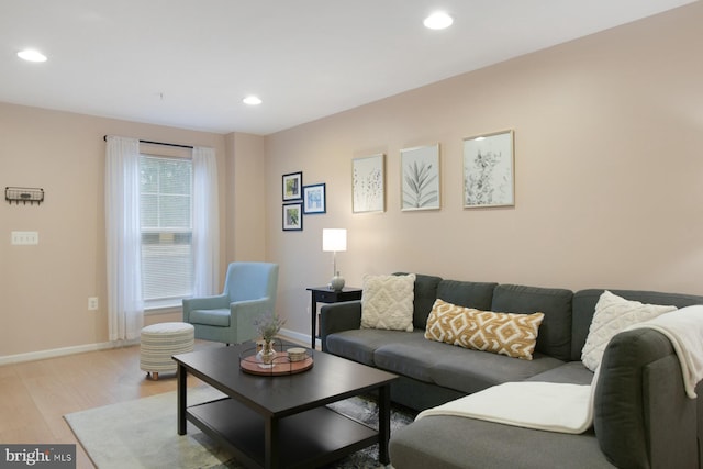 living room featuring light wood-type flooring